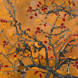 免费观看三级毛片
