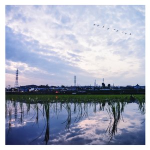 免费观看三级毛片
